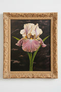 "Pale Beauty"