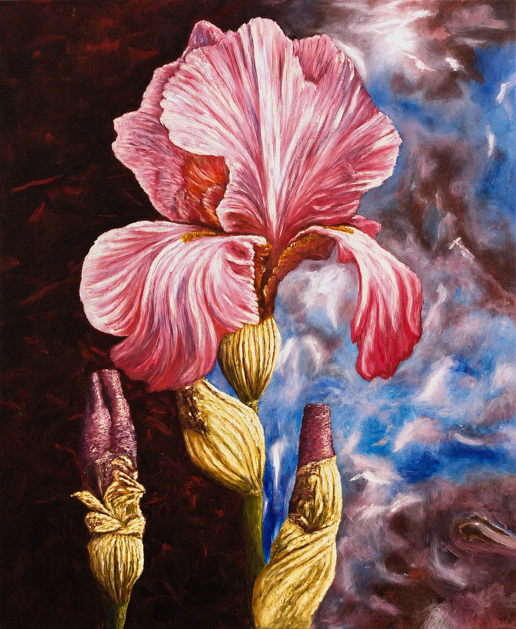 "Pink Passion"
