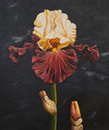 "Marigold-red"